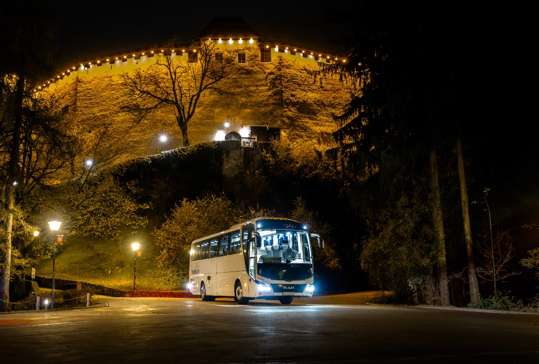 Professional Bled Tours vehicle for private groups, events and business transport